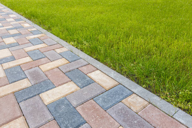 Best Brick Driveway Pavers  in Lely, FL